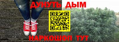 винт Новозыбков