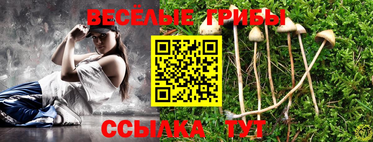 Галлюциногенные грибы MAGIC MUSHROOMS Новокуйбышевск